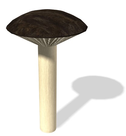 Mushroom Stepper 30'
