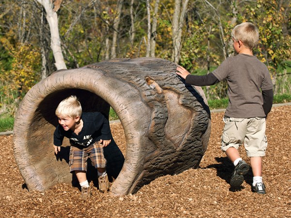 Log Crawl Tunnel