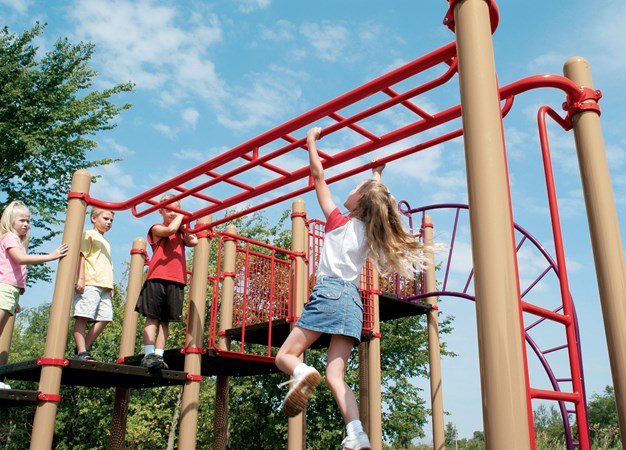 Overhead Parallel Bars