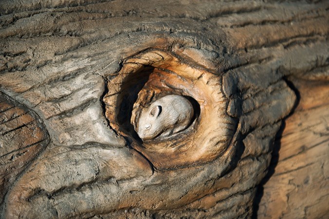 Log Crawl Tunnel