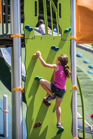 Vertical Ascent® Climber