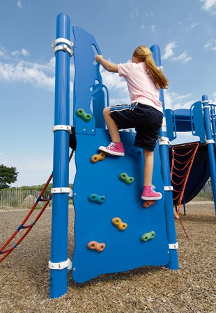 Vertical Ascent® Climber