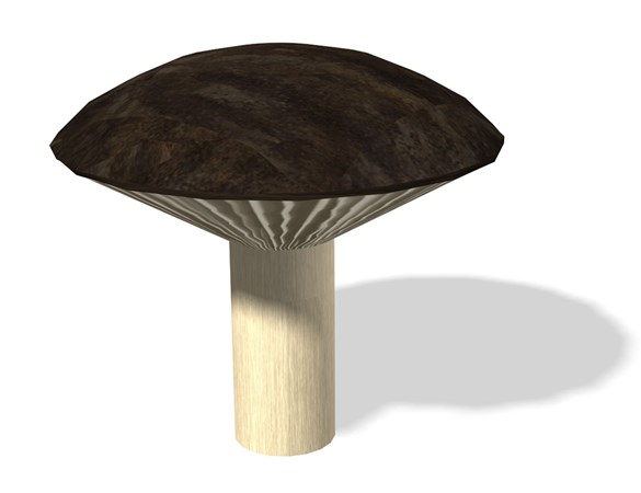Mushroom Stepper 16'